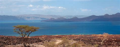 Lake Turkana Safari | Fees, Trips, Prices, Weather [2024]