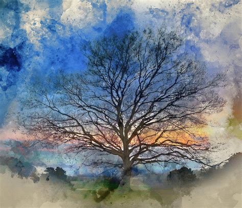 Watercolour painting of Single bare Winter tree against vibrant Photograph by Matthew Gibson ...