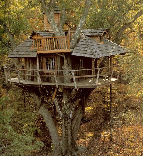 bensozia: Tree Houses