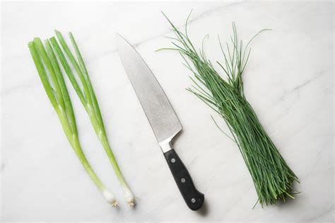 Scallions vs. Chives vs. Green Onions: What’s the Difference? - Fueled With Food