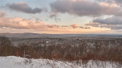 Download wallpaper 1920x1080 forest, trees, winter, landscape full hd, hdtv, fhd, 1080p hd ...