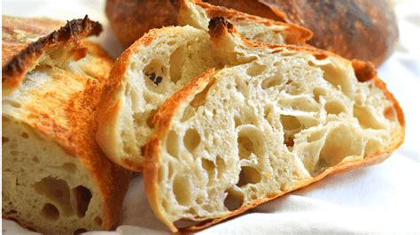 Open Crumb Rustic Bread Recipe with Biga :The Best Homemade Artisan Bread Recipe | MerryBoosters