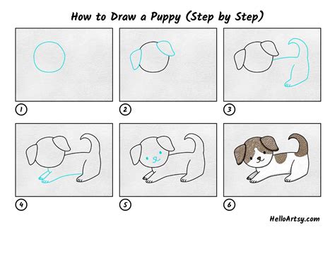 How to Draw a Puppy (Step by Step) - HelloArtsy