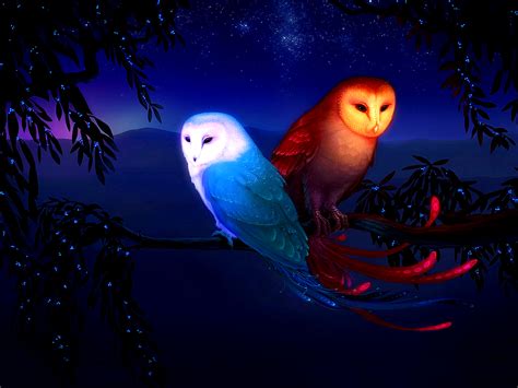 Free Cartoon Owl Desktop Wallpaper - WallpaperSafari