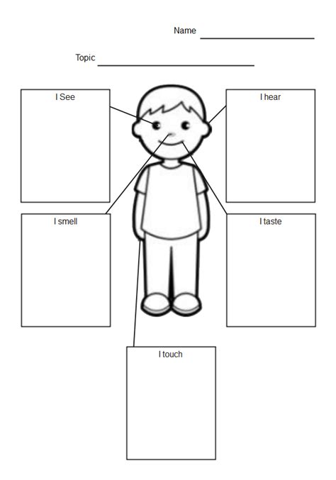 Free Editable Body Systems Graphic Organizer Examples | EdrawMax Online