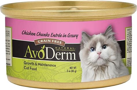 The Best Grain Free Canned Cat Food With Gravy – Simple Home