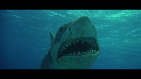 Jaws: The Revenge Blu-ray Review - DoBlu.com