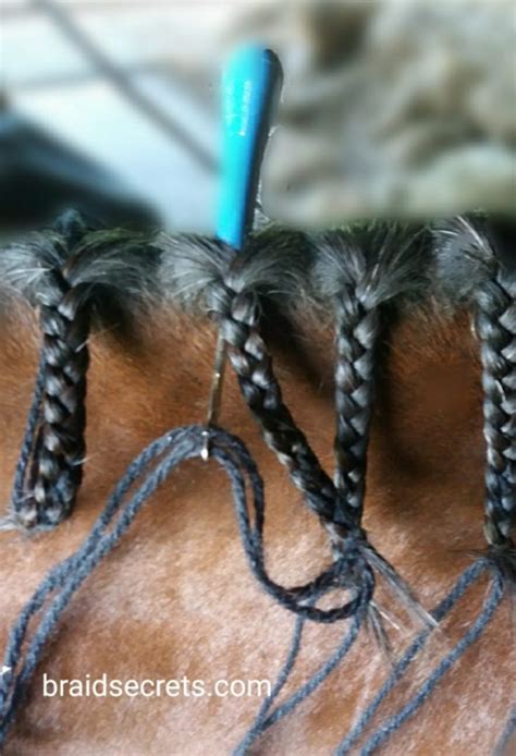 5 GENIUS HORSE BRAIDING HACKS - Braid Secrets