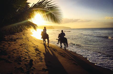 Caribbean Wallpaper: Horseback Riding And The Perfect Beach Sunset ...