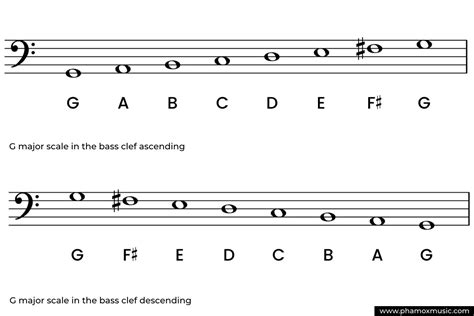 G Major Scale: Complete Guide - Phamox Music