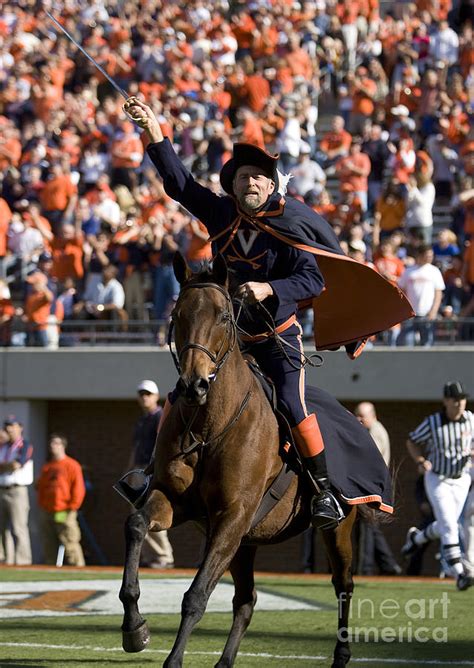 Virginia Cavaliers Mascot at Football Game Photograph by Jason O Watson - Fine Art America