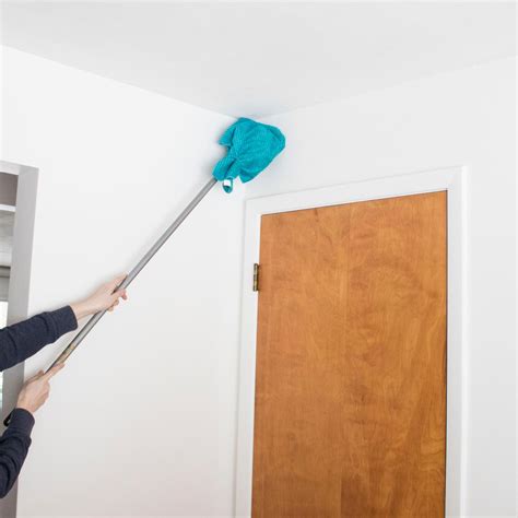 How To Steam Clean Walls And Ceilings | Shelly Lighting