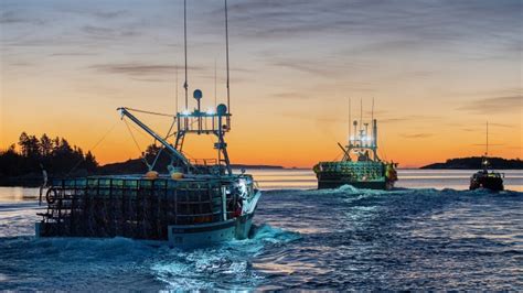 N.S. lobster season delayed in one fishing area, but goes ahead in another | CTV News