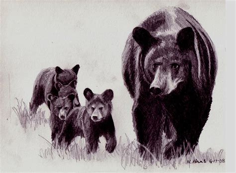 Bear And Cub Drawing at GetDrawings | Free download