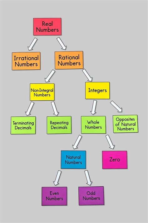 My Math Resources - Real Numbers Classification Poster – Math Classroom Decor in 2022 | Math ...