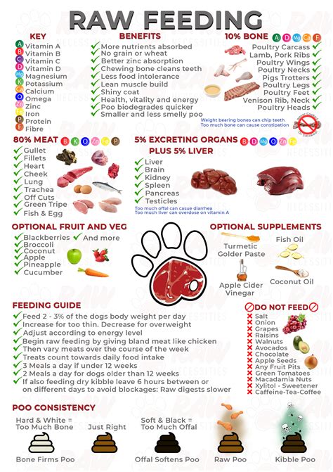 Raw Feeding Cheat Sheet - Raw Necessities