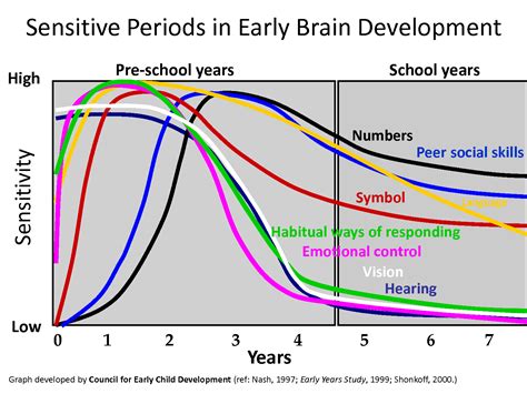 critical phases of young children - Google Search | Child development, Brain pictures, Social skills