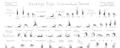 Ashtanga Yoga Intermediate Series Poster - Etsy