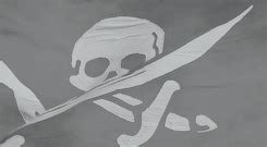 pirate flag on Tumblr