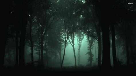 Dark foggy forest HD wallpaper | Темный лес, Туманный лес, Идеи озеленения