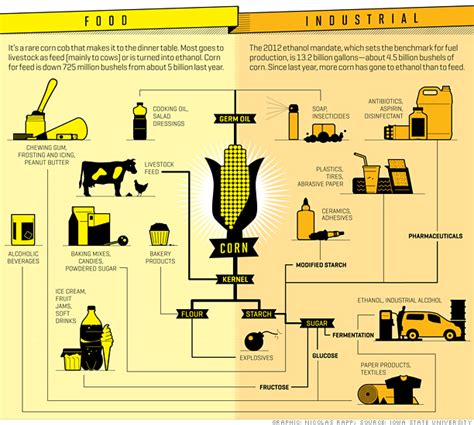 Current Ethanol News: The many, many uses for corn