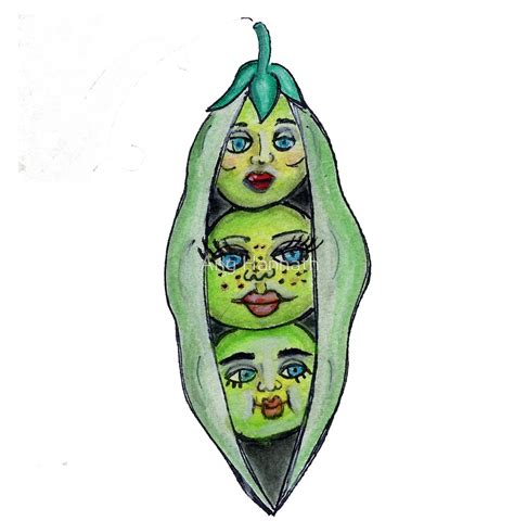 Pea Pod Drawing at PaintingValley.com | Explore collection of Pea Pod Drawing