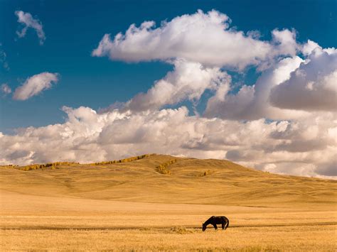 Kazakh Steppe | Mustseespots.com