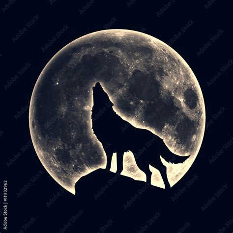 Howling wolf, full moon Stock Illustration | Adobe Stock