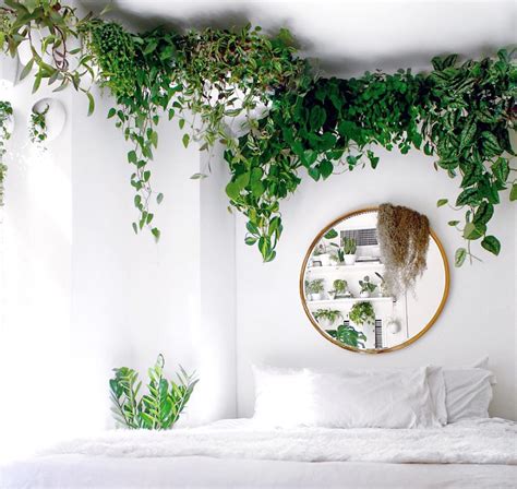 15 Decoration ideas with plants to make every corner of your home an Eden - DIY Morning ...