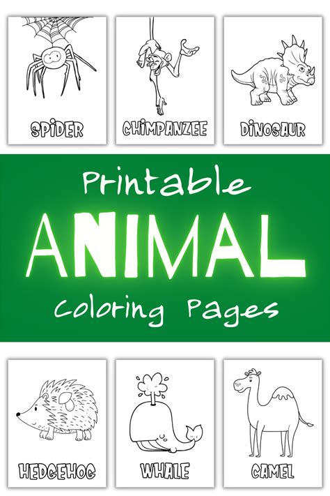 Included in this downloadable PDF file are 100 digital animal coloring pages. Large and simple ...