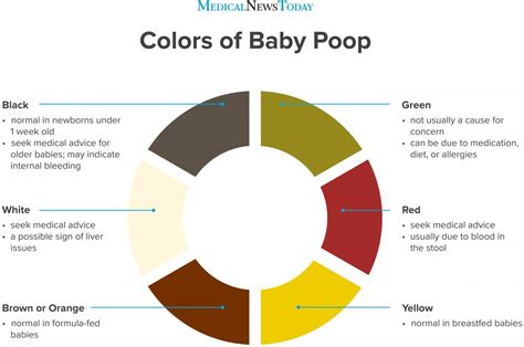 Baby poop color: Causes and when to see a doctor - Diet Requirements