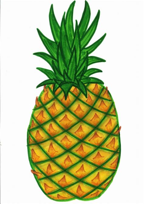 Pineapple clip art free free clipart images – Clipartix