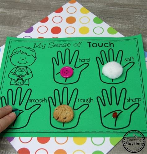 5 Senses - Planning Playtime