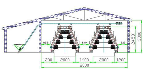 How to Design and Set Up a Poultry Farm?