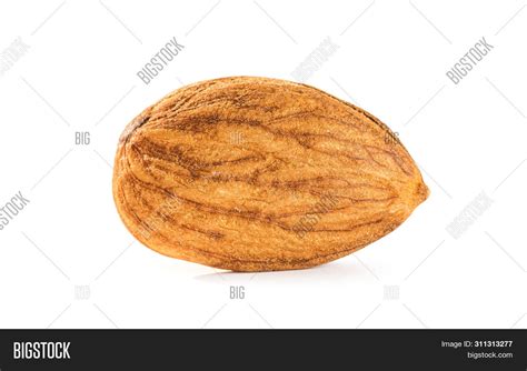 Almond Seed Isolated Image & Photo (Free Trial) | Bigstock