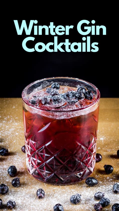 13 Best Winter Gin Cocktails to Drink This Season - MyBartender