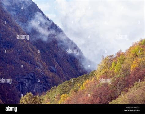 Fall colors in Norway Stock Photo - Alamy