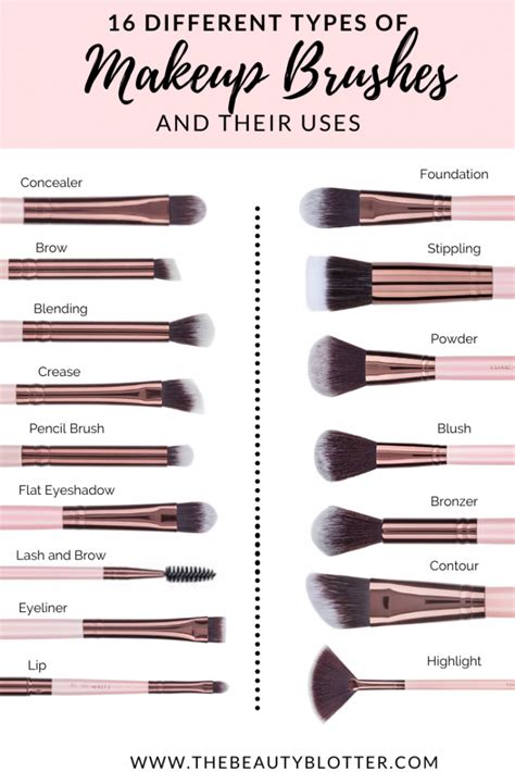 30 Makeup Brushes And Their Uses | Saubhaya Makeup