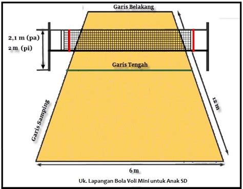 Ukuran Standard Lapangan Bola Voli Berbentuk - IMAGESEE