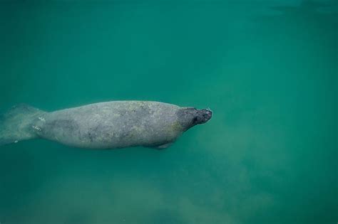 Biscayne National Park, Florida - WorldAtlas