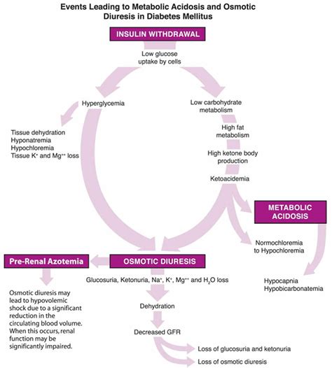 Osmotic diuresis defined & osmotic diuresis causes