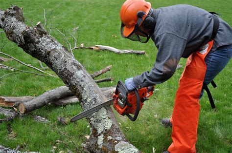 Chain Saw Safety and Cutting Techniques Course - Events - ISA Michigan