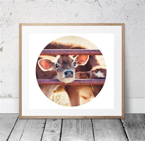 Farm Photography, Cow Photo, Printable Photo, Farm Decor, Western Art ...