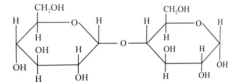 Maltose Structure Diagram