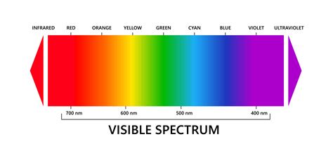 Visible light spectrum, infared and ultraviolet. Electromagnetic ...