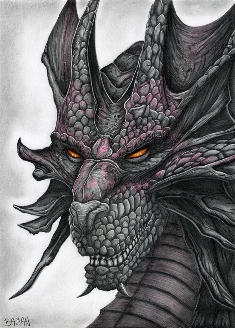 Dragon Drawing | Realistic dragon, Dragon artwork, Dragon sketch