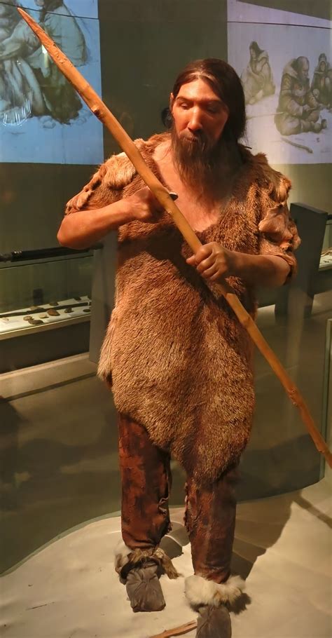 The original Neanderthal skeleton from the Neander Valley