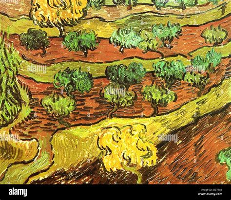 Vincent van Gogh, Olive Trees against a Slope of a Hill. 1889. Post-Impressionism. Oil on canvas ...