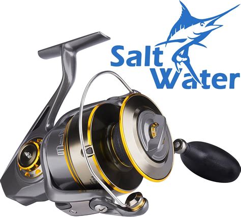 Best Surf Fishing Reels of 2020 (Complete Overview)