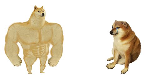 49+ Doge Meme Template Cheems Png